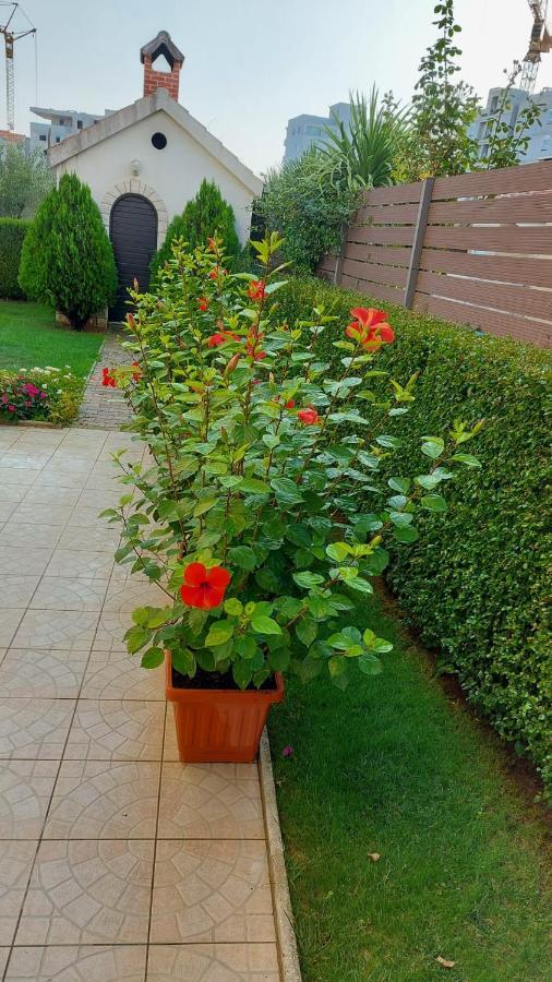Apartment "Andrea" Split Dış mekan fotoğraf